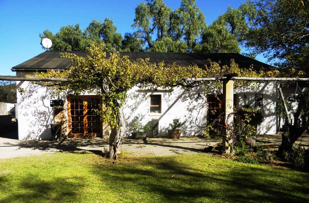 Hotel Witkrans Guest Farm Middelburg  Esterno foto